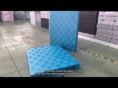 Διπλής κατεύθυνσης εισόδων αφρού του ΕΛΚ ενιαίος παλετών κρύας αποθήκευσης πλαστικός αντιμέτωπος