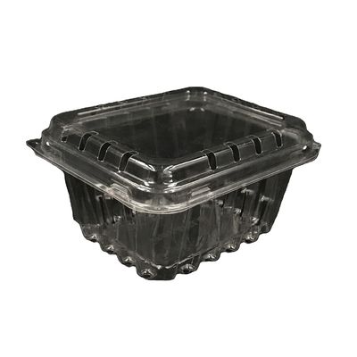125g πλαστική αντίσταση αντίκτυπου κιβωτίων συσκευασίας Clamshell βακκινίων