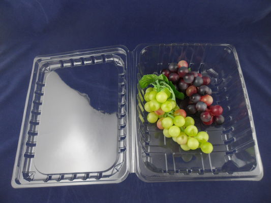 Πλαστικά συσκευάζοντας κιβώτια 500g φουσκαλών Eco φιλικά μίας χρήσης σαφή πλαστικά
