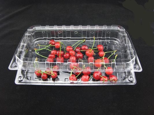 Πλαστικά συσκευάζοντας κιβώτια 500g φουσκαλών Eco φιλικά μίας χρήσης σαφή πλαστικά